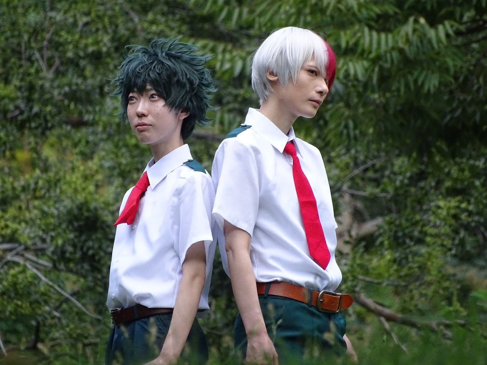 🌳 토도로키 녹지 (等々力緑地) 이미지 9